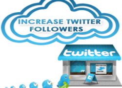 Who Has More Followers