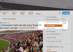Stop Receiving Updates From A Person In Your Twitter Timeline